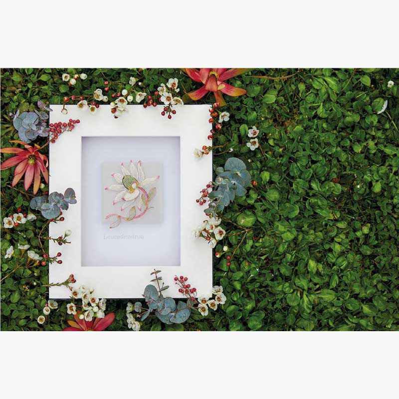 Inspirations 105 5 ed705fb6-07e5-f4bb-cf67-cd95c77b5382