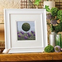 JO BUTCHER Where Meadows and Gardens Grow - The Embroidery of Jo Butcher 1 100775aa-2fc1-47aa-8813-ede937196084