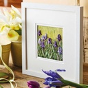 JO BUTCHER Where Meadows and Gardens Grow - The Embroidery of Jo Butcher 10 331b54e8-4156-461c-b5da-e50cfd2b8502