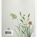 KAZUKO AOKI Embroidered Wild Flowers 1 bb571755-a6be-2a26-5d6a-217c4e73de6c