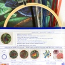 DMC Printed Cross Stitch Parokeet 1 532bd3b6-92d6-22a1-e5e5-3c6924e69ff5