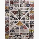 Salli Jess Designs Garden of Eden 1 21506344-655f-42d0-8822-9a15b45726b6