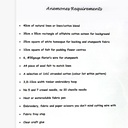 Ana Mallah Anemones 1 978aca29-ca90-4376-a699-781858fabb87