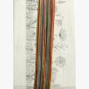 Rico 68304.54.18 Autumn Meadow Table Runner Kit 40x138cm 1 a665baf9-59be-d3d2-e937-6677dfb18bf3