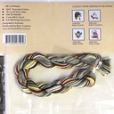 DMC  Baby Koala - Counted Cross Stitch kit 1 1e83eb1a-8755-4fc4-bc85-df7d54e5bdcb