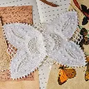 INS128-P6-Butterfly.webp