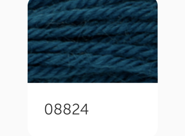 Anchor Tapestry Wool Thread 8824