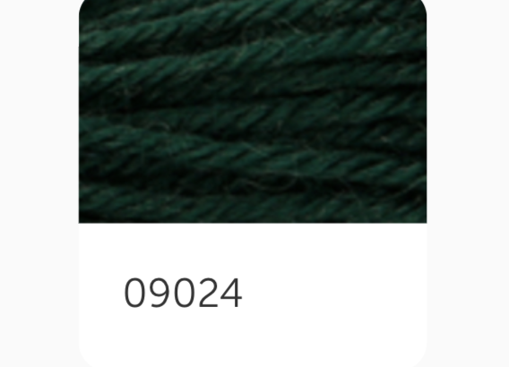 Anchor Tapestry Wool Thread 9024