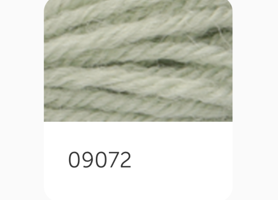 Anchor Tapestry Wool Thread 9072