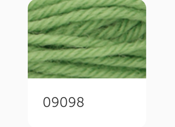 Anchor Tapestry Wool Thread 9098