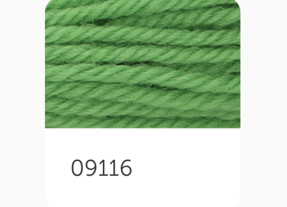 Anchor Tapestry Wool Thread 9116