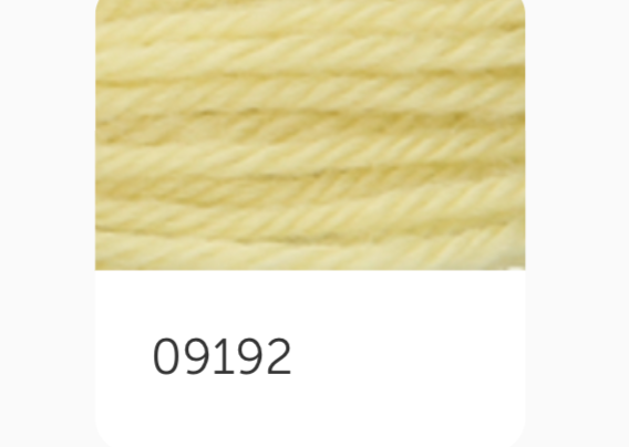 Anchor Tapestry Wool Thread 9192