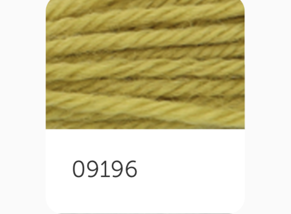 Anchor Tapestry Wool Thread 9196