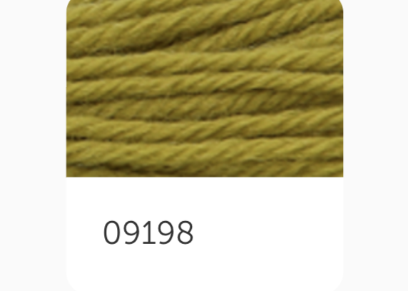 Anchor Tapestry Wool Thread 9198