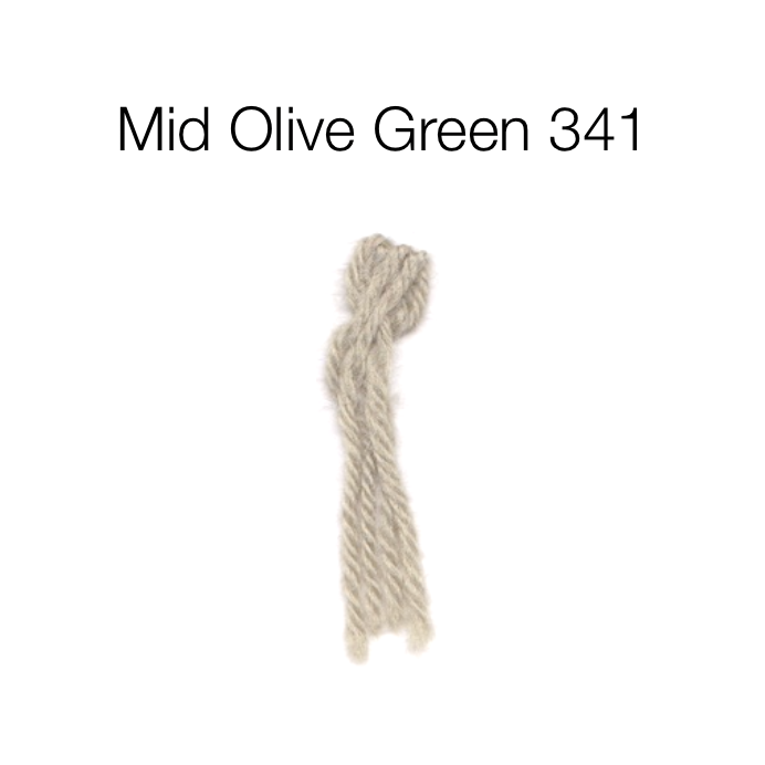 Appleton Crewel Wool skein 341