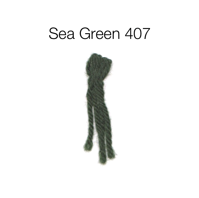 Appleton Crewel Wool skein 407