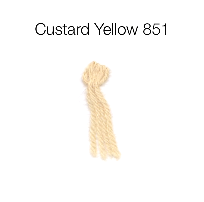 Appleton Crewel Wool skein 851