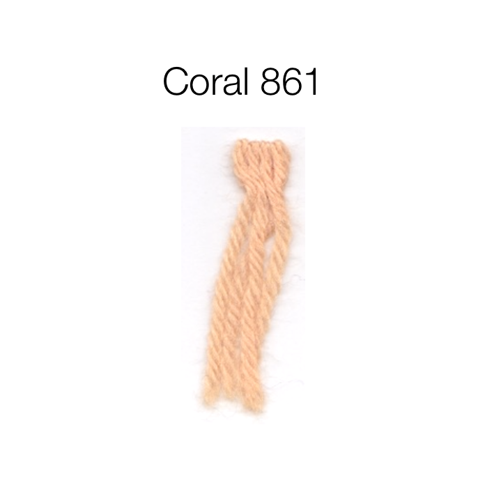 Appleton Tapestry Wool skein 861