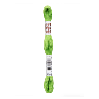 DMC Soft Embroidery Cotton 2788