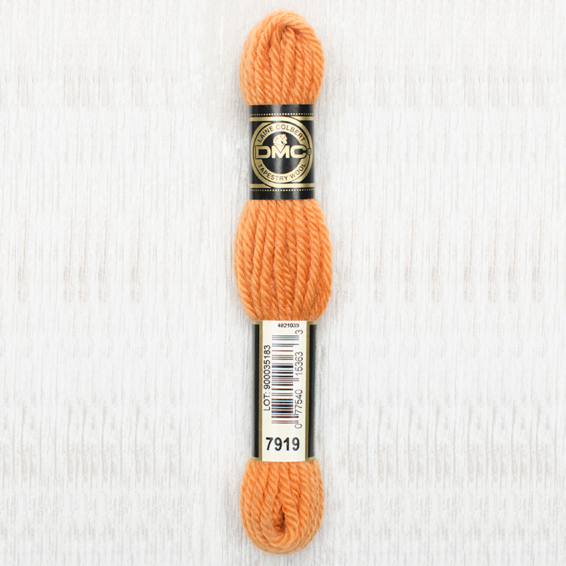 DMC Tapestry Wool 7919
