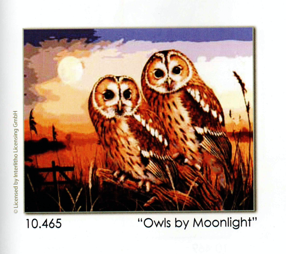 Grafitec 10.465 Owls by Moonlight