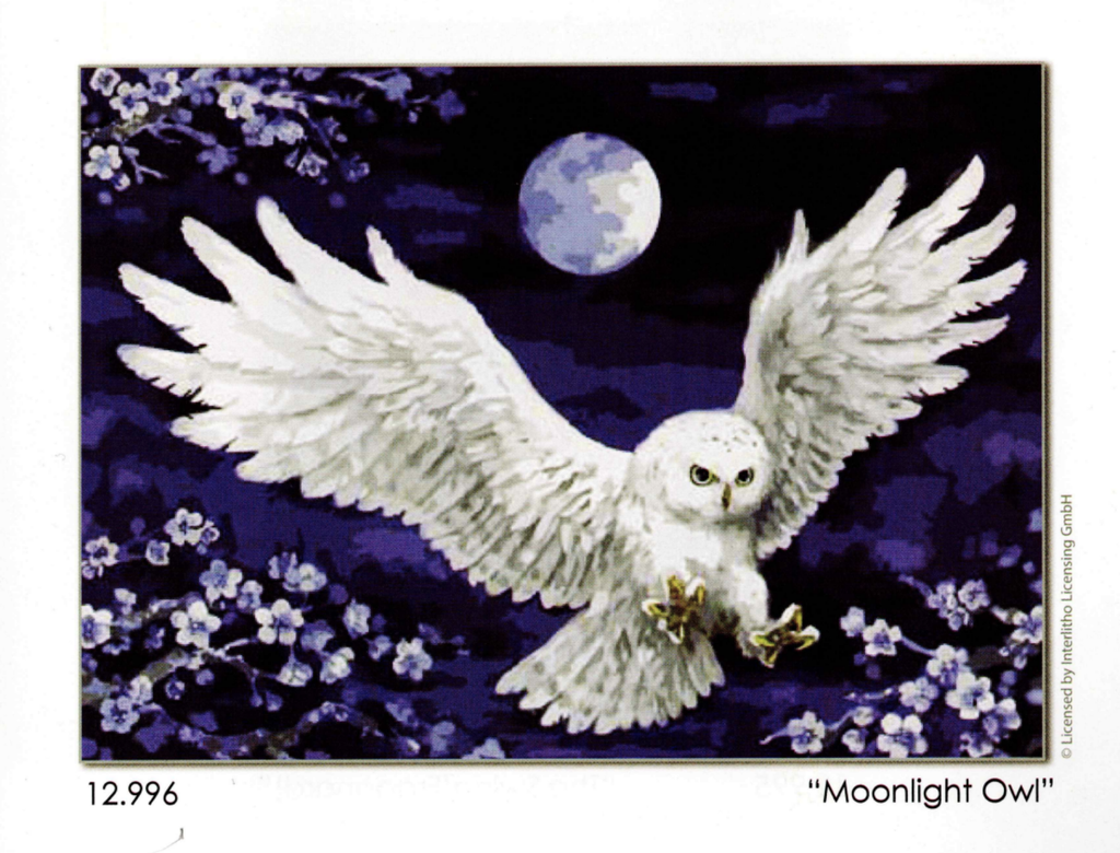 Grafitec 12.996 Moonlight Owl