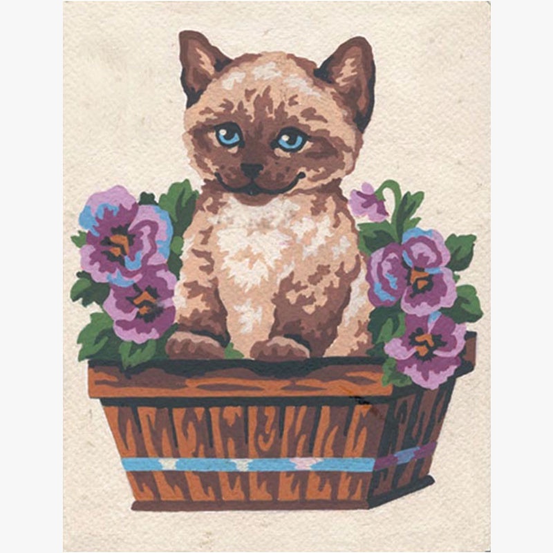 Grafitec 3.139 Kitten