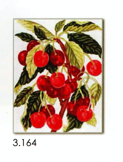 Grafitec 3.164 Berries