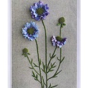 Ana Mallah Bella Dama