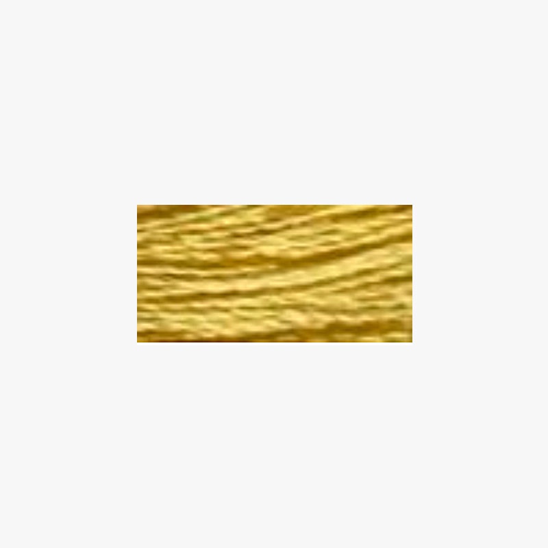 Rajmahal Thread 045 Baby Camel