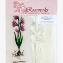 Roseworks Gladiolus DGL1