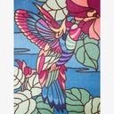 SEG de Paris Colibri