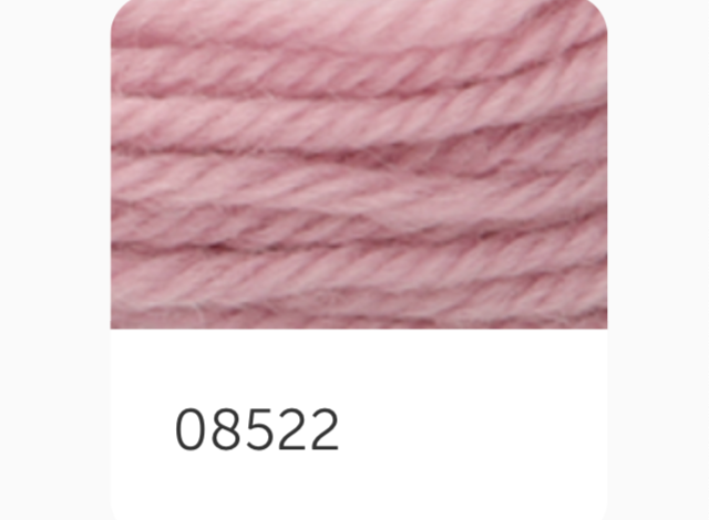 Anchor Tapestry Wool Thread 8522