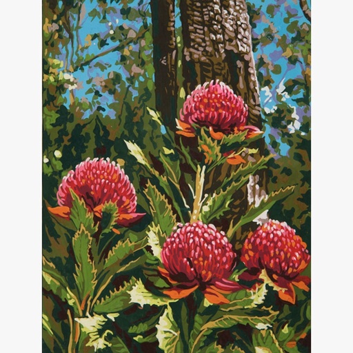 [grafitecb105waratahs] Grafitec B.105 Waratahs