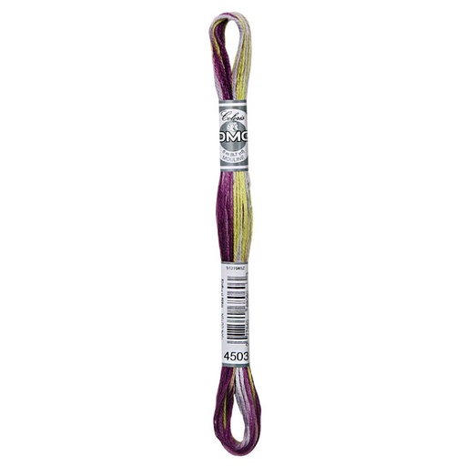 [DMCColorisGLYCINE4503] DMC Coloris 4503 Glycine