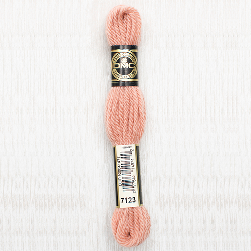 [DMCTAPESTRYWOOL7123] DMC Tapestry Wool 7123