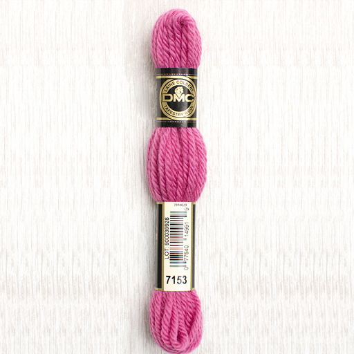 [DMCTAPESTRYWOOL7153] DMC Tapestry Wool 7153