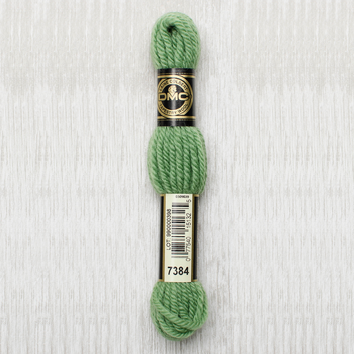 [DMCTAPESTRYWOOL7384] DMC Tapestry Wool 7384