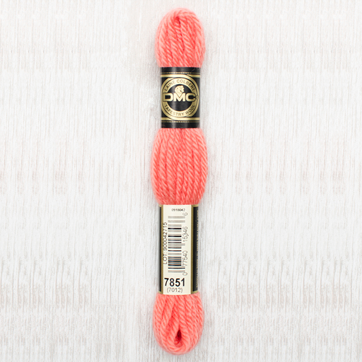 [DMCTAPESTRYWOOL7851] DMC Tapestry Wool 7851
