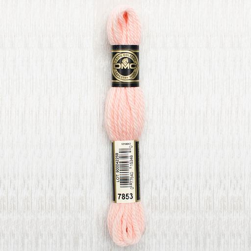 [DMCTAPESTRYWOOL7853] DMC Tapestry Wool 7853