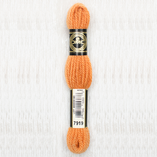 [DMCTAPESTRYWOOL7919] DMC Tapestry Wool 7919