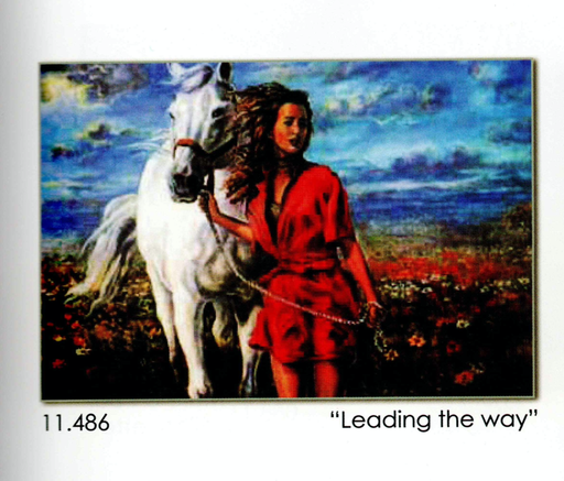 [Grafitec11486] Grafitec 11.486 Leading the Way