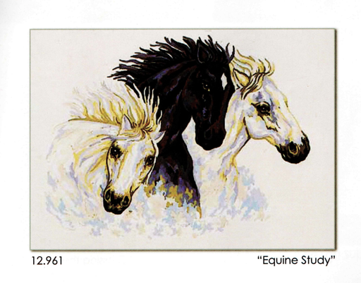 [Grafitec12961] Grafitec 12.961 Equine Study